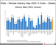 PPT on Literates GAP