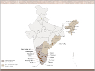 Coffee Producing areas of India - Inside