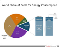PPT on World's Share of Fuel for Energy Consumption