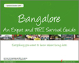 Bangalore: An Expat Survival Guide 