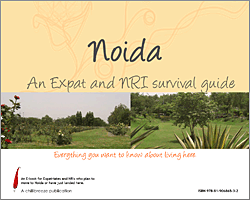 Noida: Expat survival guide