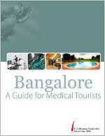 Bangalore: An expat survival guide