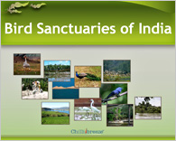 Editable PPT Map of Bird Sanctuaries of India