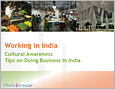 PPT-Working in India