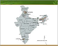tea producing map of India